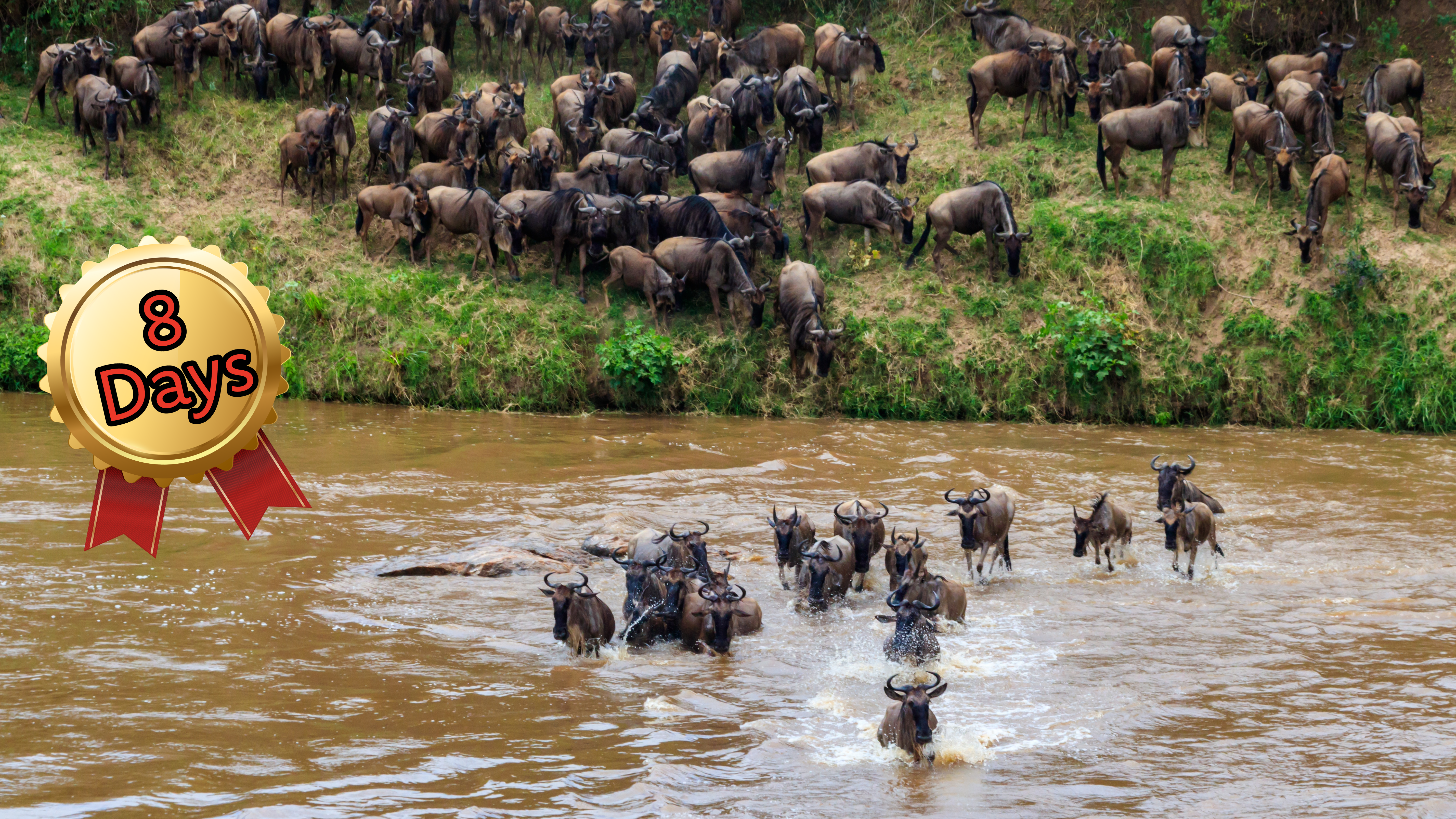 Chasing the Migration: Kenya’s Ultimate Safari Trail