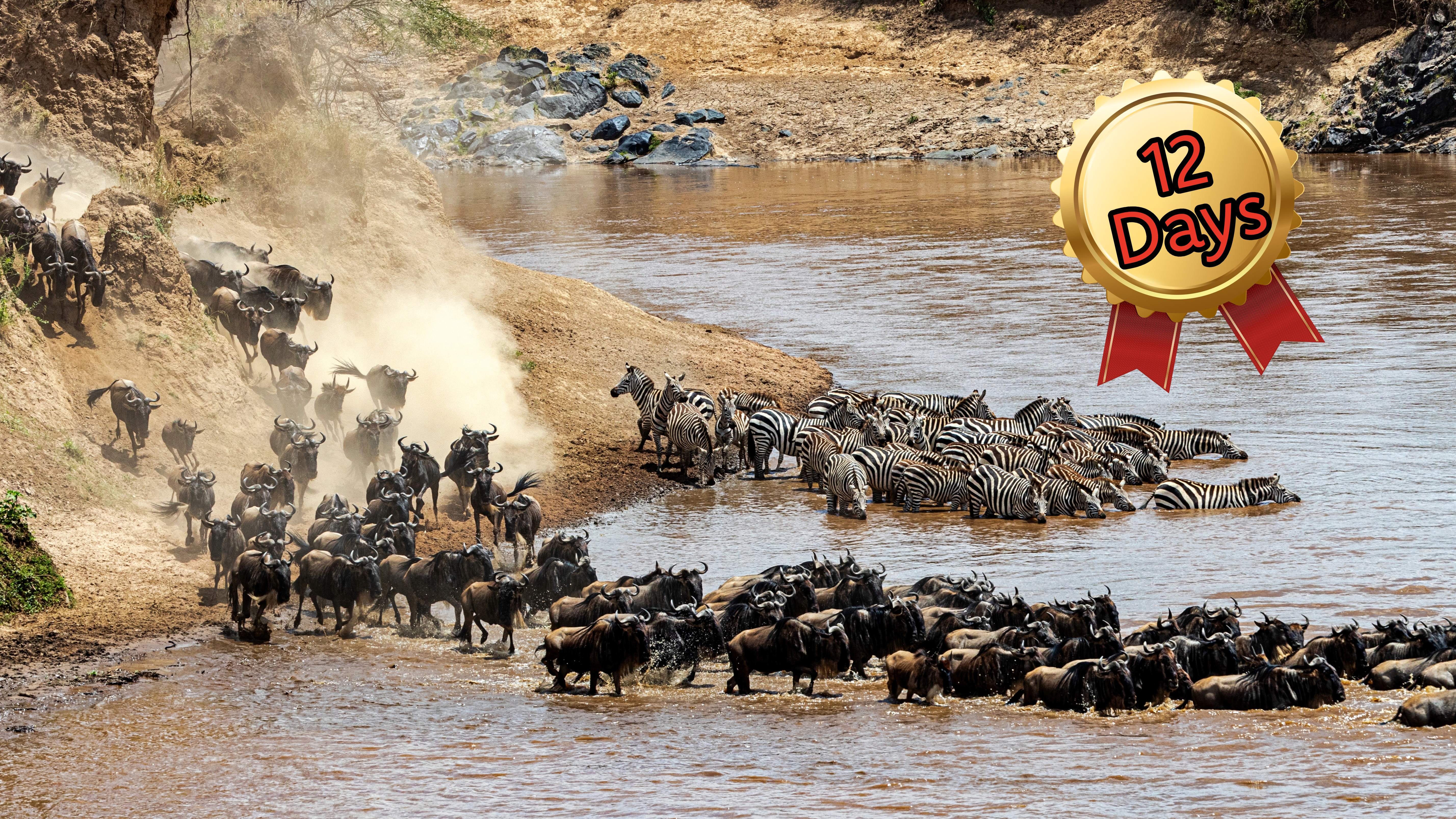 East Africa Migration Safari: From Maasai Mara to Serengeti National Park